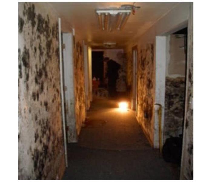 Mold infested hallway 