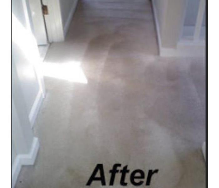 Cleaned residential hallway carpet 